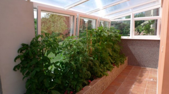 Gallery image No 2